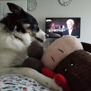 Meet your Posher, Posh Plus!